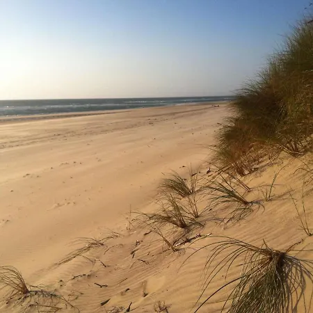 T2 Avec Terrasse 4 Couchages * Biscarrosse