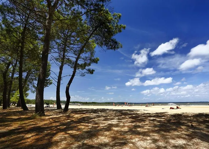 T2 Avec Terrasse 4 Couchages Lejlighed Biscarrosse