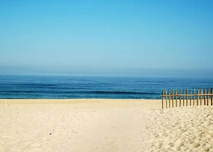 T2 Avec Terrasse 4 Couchages Lejlighed *