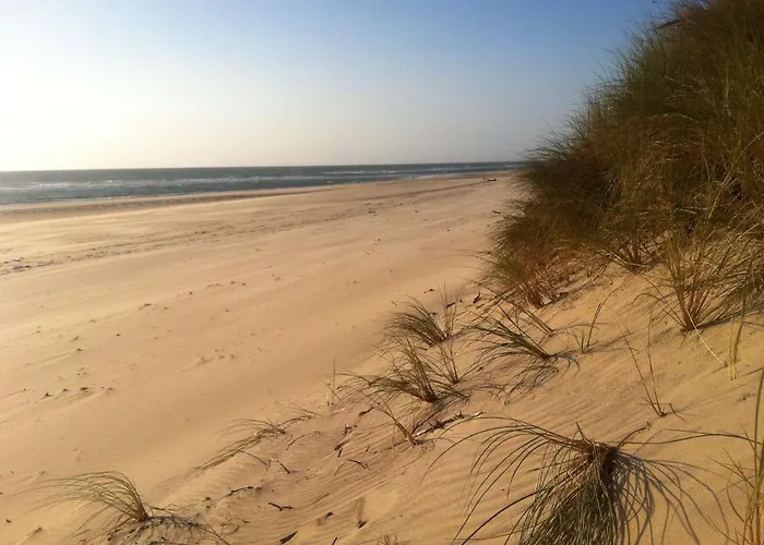 T2 Avec Terrasse 4 Couchages * Biscarrosse