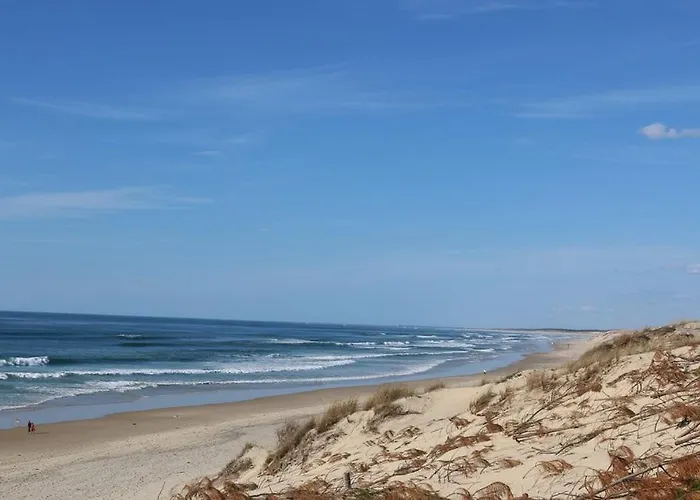 Lejlighed T2 Avec Terrasse 4 Couchages